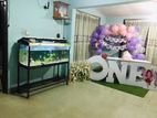 Large Fish Tank