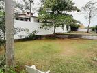 Large Garden House For Rent in Pelawatta Battaramulla [ 994C ]