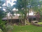 Large Garden House for Rent in Torrington Avenue Colombo 07 [ 2222C ]
