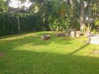 Large Garden House for Rent in Torrington Avenue Colombo 07 [ 2222C ]