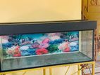 Large Glass Fish Tank with Stand