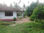 Large Land & House for Sale near Kuliyapitiya