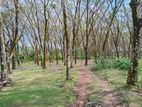 Large land for sale in Athurugiriya - Clear title