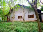 Large Land for Sale in Baduragoda – Ideal Logistics or Factory