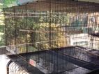 Large Size Bird Cage