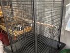 Large Sized Bird Cage