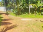 Larger Land Near J'pura University Nugegoda