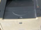HP Printer