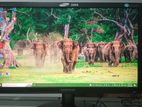 LCD 20" Widescreen Monitors