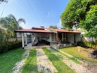 (LD168) Single Story House With 11.6 P for Sale At Thalawathugoda