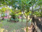 (ld90) 25 Perches Land with Old House for Sale Maharagama
