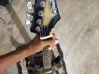 Lead Guitar