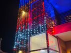 Led Bulb Wall