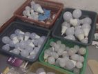LED Bulbs