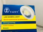 LED Down Light 30W