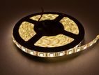 LED Strip Light WW 5m