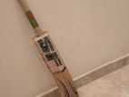 Ledar Cricket Sf Bat