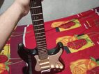 Leed Guitar