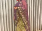Lehenga Choli Traditional Dress