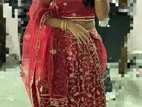 Lehenga Dress