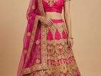 Lehenga Pink shade