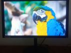 Lenovo 22" IPS Monitor