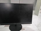 Lenovo 24 Inches IPS Frameless Monitor