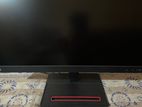 Lenovo 24 IPS Frameless