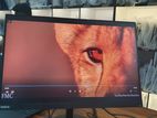 Lenovo Thinkvision T24D Frameless 24" Inch IPS HDMI Monitor