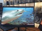 Lenovo Thinkvision T24D Frameless 24" Inch IPS HDMI Monitor