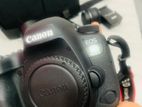 Canon EOS 6D Mark II Body Camera