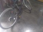 Bianchi Bicycle