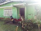 Lewella Separate Single Story Red Cement House for Rent