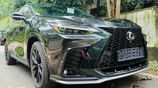 Lexus NX300H NX 350 H -F SPORTS 2025