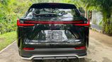 Lexus NX300H NX 350 H -F SPORTS 2025