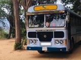 Leyland Bus For Hire - 44 Seats