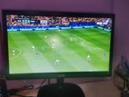 LG 20 Inch Monitor