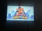 LG 32 Inch Smart TV