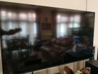 LG 65" OLED Tv