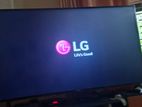 LG 65" TV