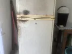 LG Refrigerator