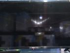 LG LED 32' TV