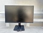 LG Monitor