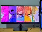 LG Ultrawide IPS Monitor