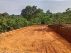 ලගදීම බලාපොරොත්තු වන්න
