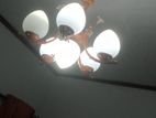 Light Set (Complete)