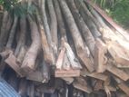 ලී මුක්කු 2 x 4 ජොඉස් සමග