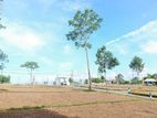 Limited Land block for sale in palagama 6.25p