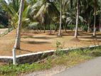 Limited Land for Sale - HORANA