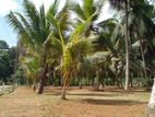 Limited Land Plot for Sale in Horana - Kalutara